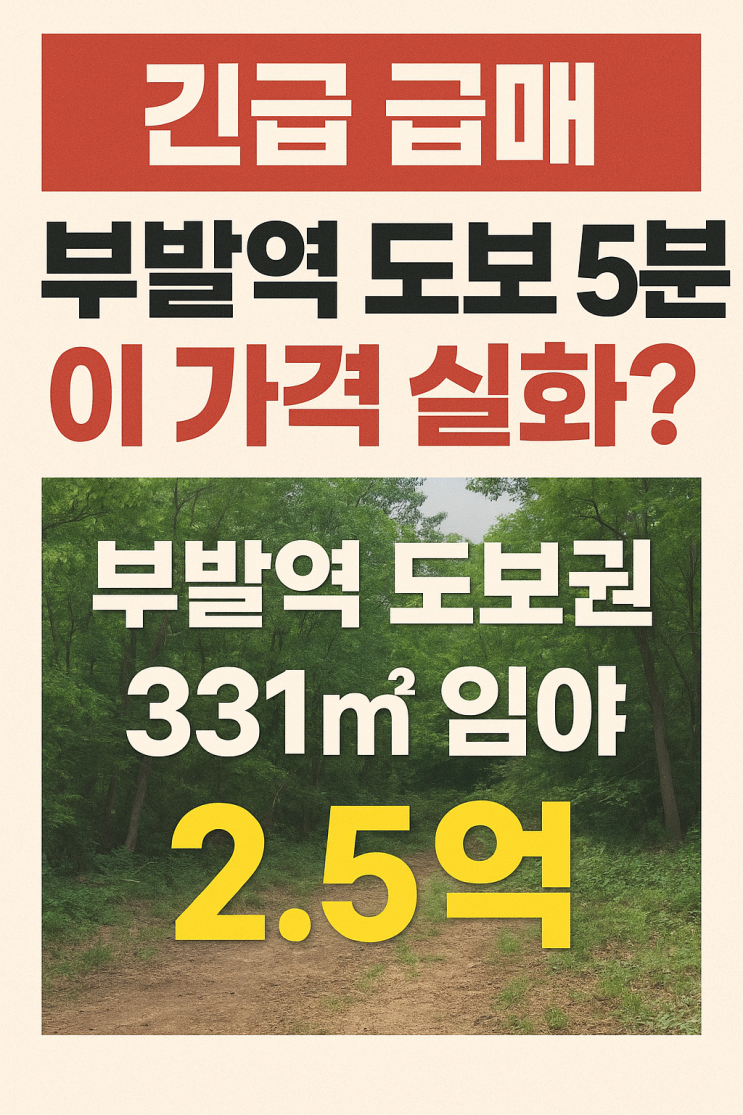   경강선 부발역세권 프리미엄! 이천 아미리 331 임야, 2.5억대 미래 가치 선점 기회!