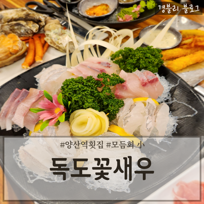  양산역맛집 양산새우맛집 스끼다시 푸짐한 양산횟집 '독도꽃새우'