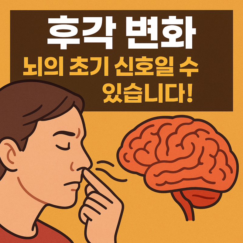 🔍 후각 이상, 신경퇴행성 질환의 조기 신호일까? : 네이버 블로그