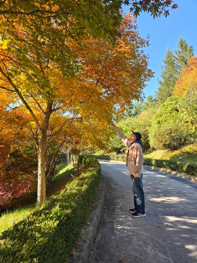 경북 포항 가볼만한곳 경상북도수목원