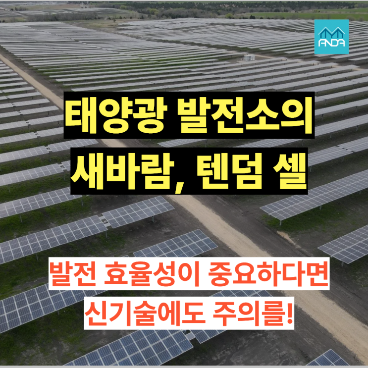  정부도 찍은 차세대 태양광,  ‘ㅇㅇ 셀’이 뭐길래 난리일까