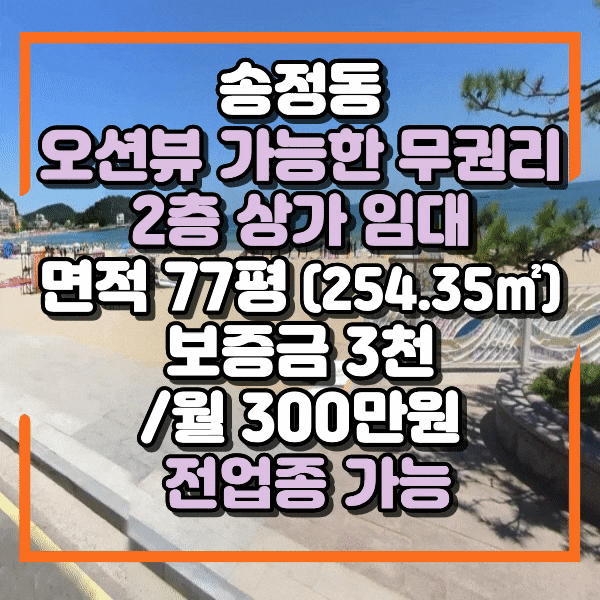  송정동 오션뷰 가능한 2층 무권리 상가임대, 전용 77평(254.35), 승강기 보유, 주차가능, 전업종 가능, 써핑라인