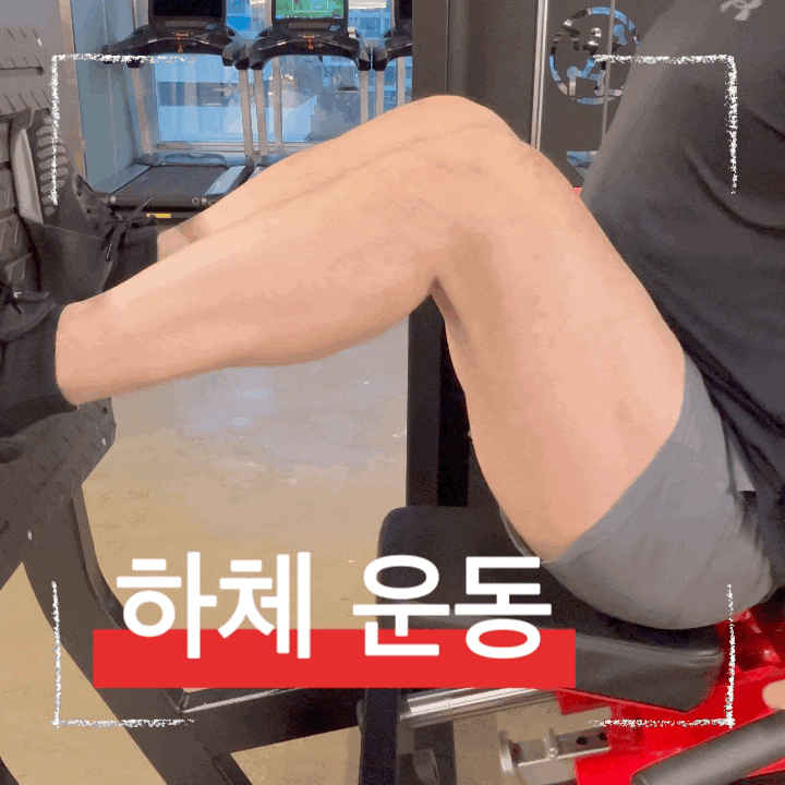  하체 근육 강화하는 효과적인 방법 시티드 레그프레스 머신