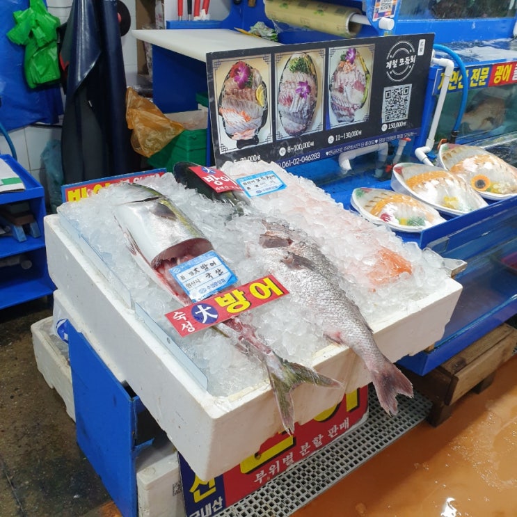  [노량진 맛집] 내돈내산  대방어 철 이레상회 모둠회 & 충남식당 초장집 웨이팅 후기