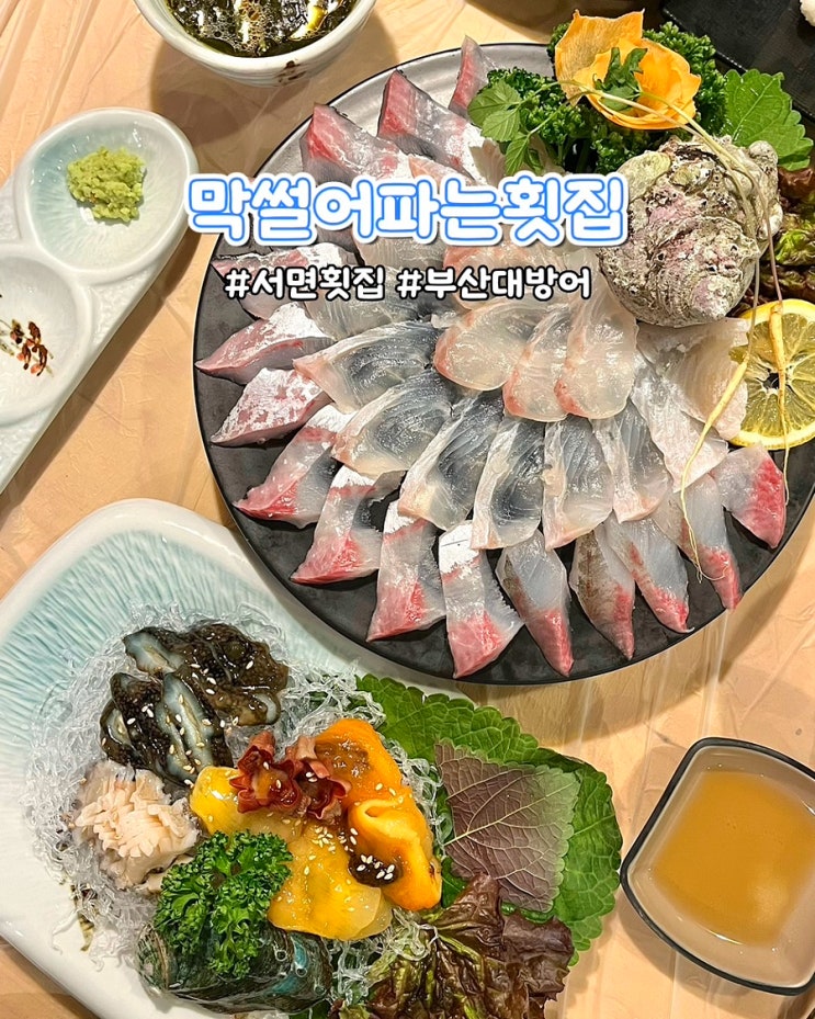  부산 서면횟집 막썰어파는횟집 제철모듬회 해산물 가성비좋은 회 맛집