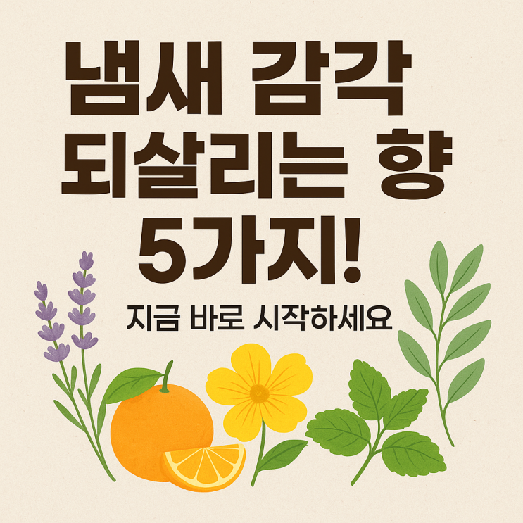  후각 훈련에 추천되는 향 TOP5｜냄새 감각 되살리는 가장 쉬운 방법