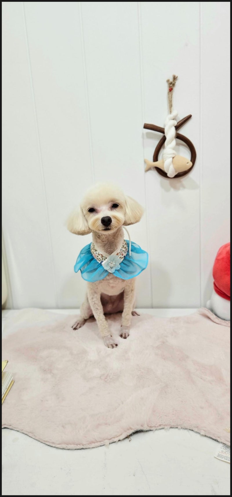 사진 8