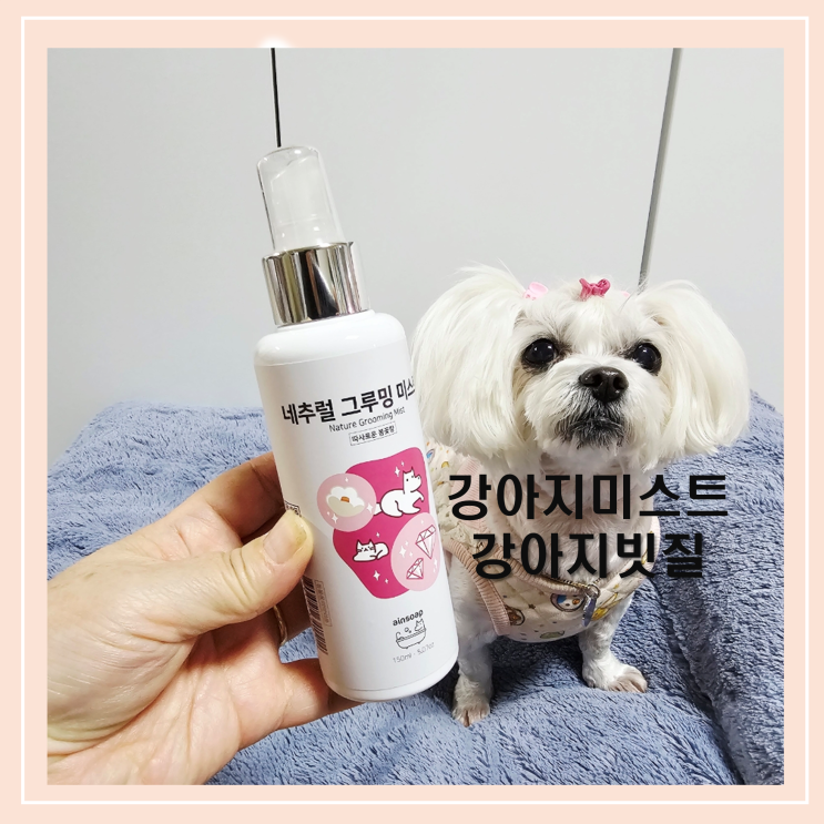  꿍이 머리에 스파크 튄다? 겨울철 정전기 대란, 이 미스트 하나로 종결했어요! [아인솝]