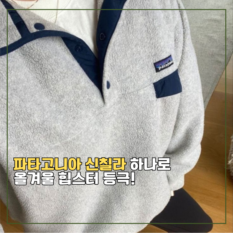 (인스타 감성 폭발) 파타고니아 신칠라 코디, 올겨울 힙스터 되는 법!