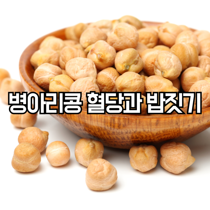 병아리콩 혈당 효능 밥짓기