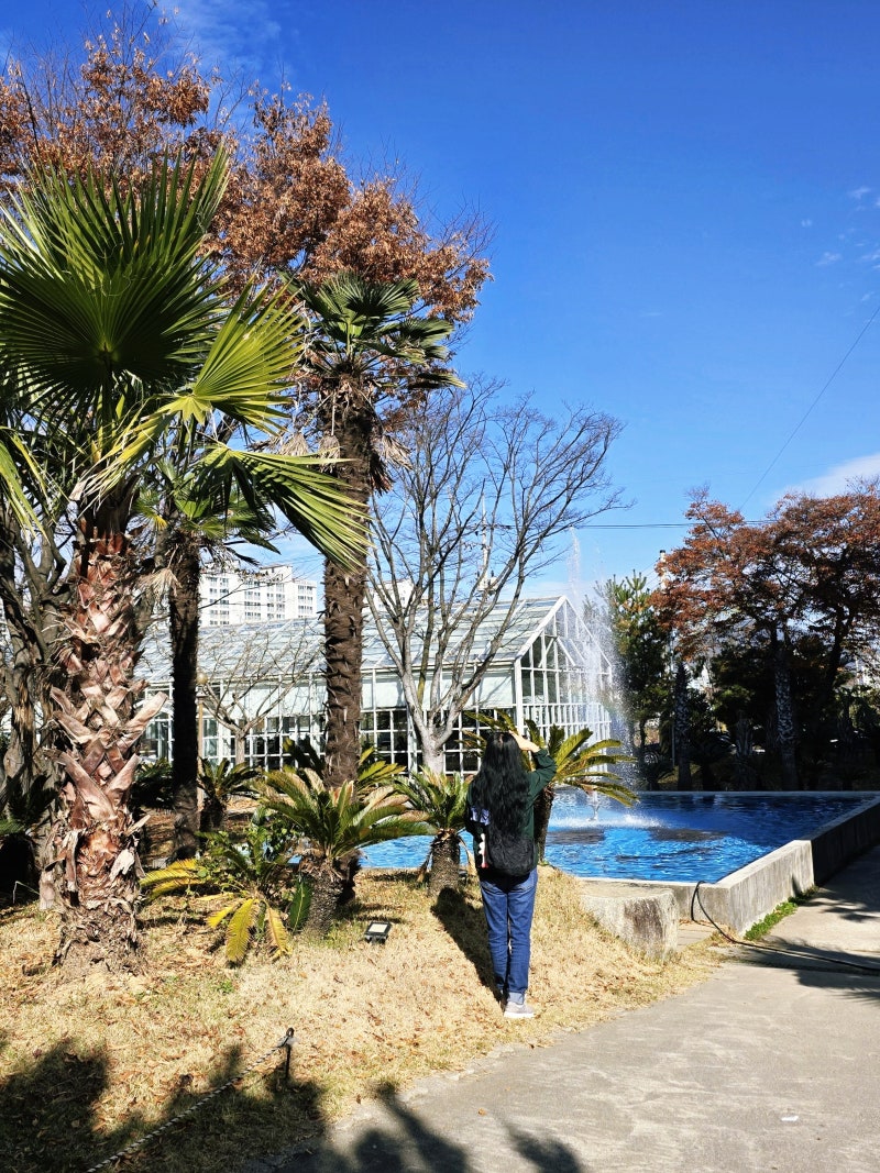 사진 8