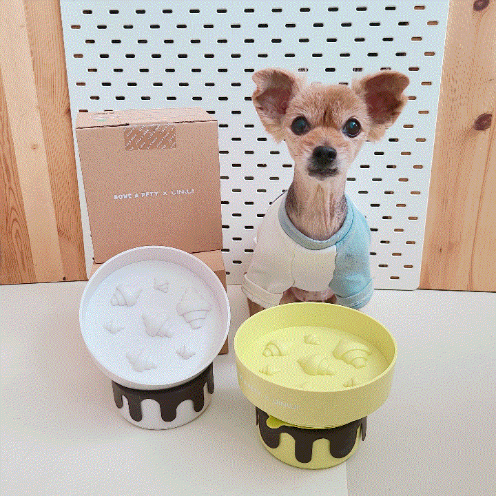  고양이 강아지 식기 추천, 밥그릇 물그릇 급체방지까지 본아페티 친환경 식기세트