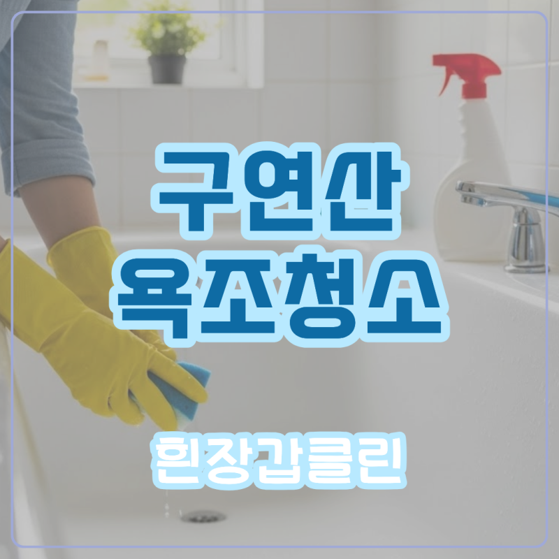 스파 욕조청소 구연산 활용하면 깔끔하게
