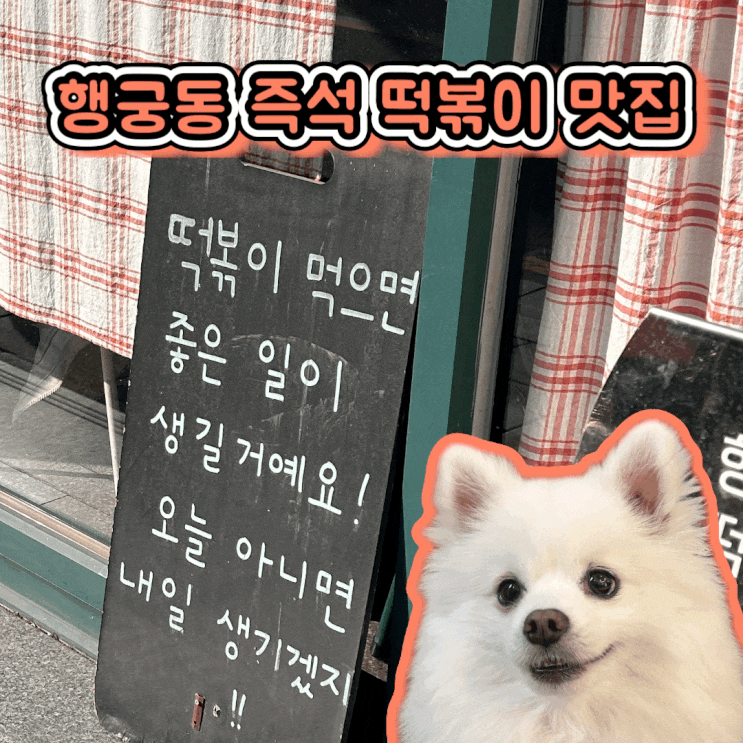  수원 행궁동 애견 동반 식당 즉석 떡볶이 마담마담 대형견도 가능