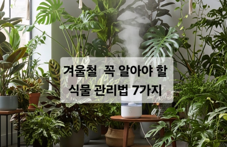  겨울철  꼭 알아야 할 식물 관리법 7가지