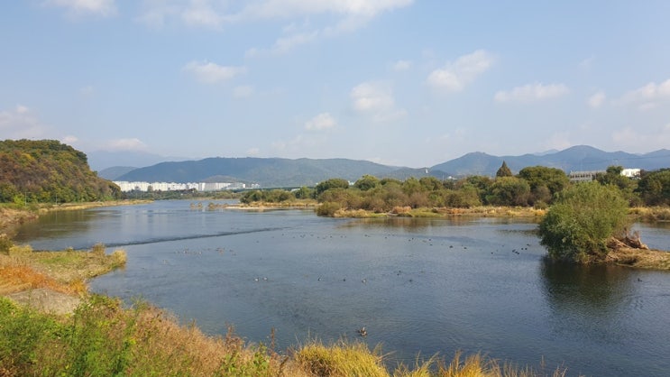  자동차 김서림 제거 방법 총정리