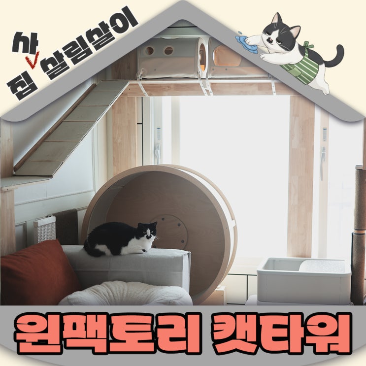  윈팩토리 캣타워 내돈내산 2년 실사용 솔직후기 좁은집도 넓어지게하는 마법