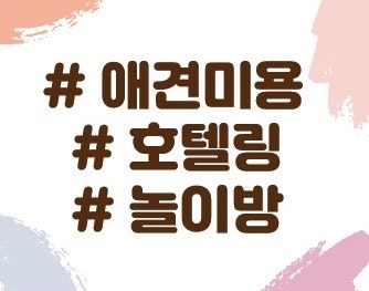 사진 10