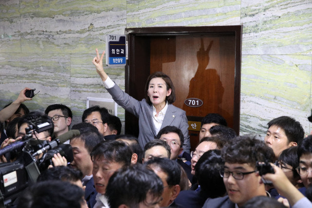 대검 "나경원 '빠루' <b>패스트트랙</b> 1심, <b>항소</b> 포기"...이번에도... 