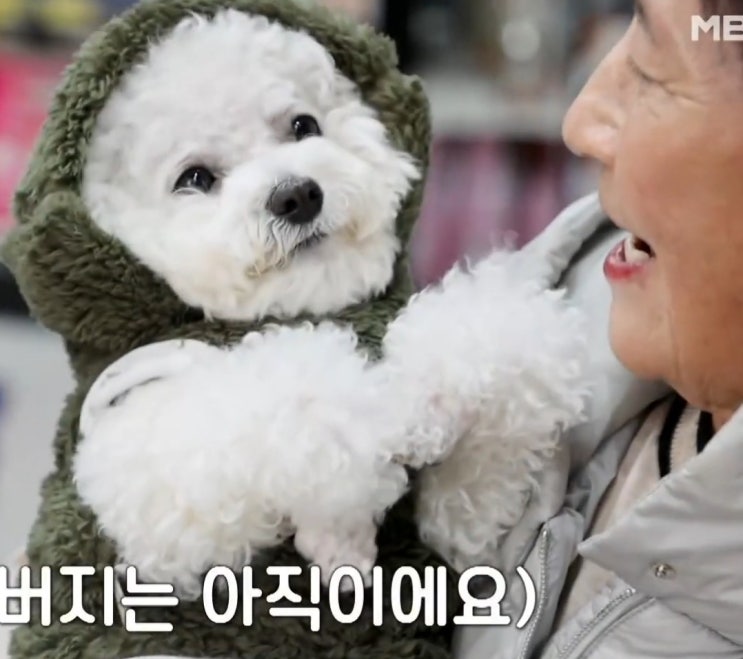 ‘특종세상’ 화재 트라우마 이긴 할머니… 강아지 어부바의 기적