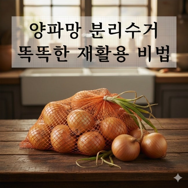양파망 분리수거 방법 똑똑한 재활용 비법
