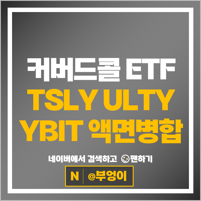 YieldMax 커버드콜 ETF TSLY ULTY 비트코인 YBIT 주식 액면 병합