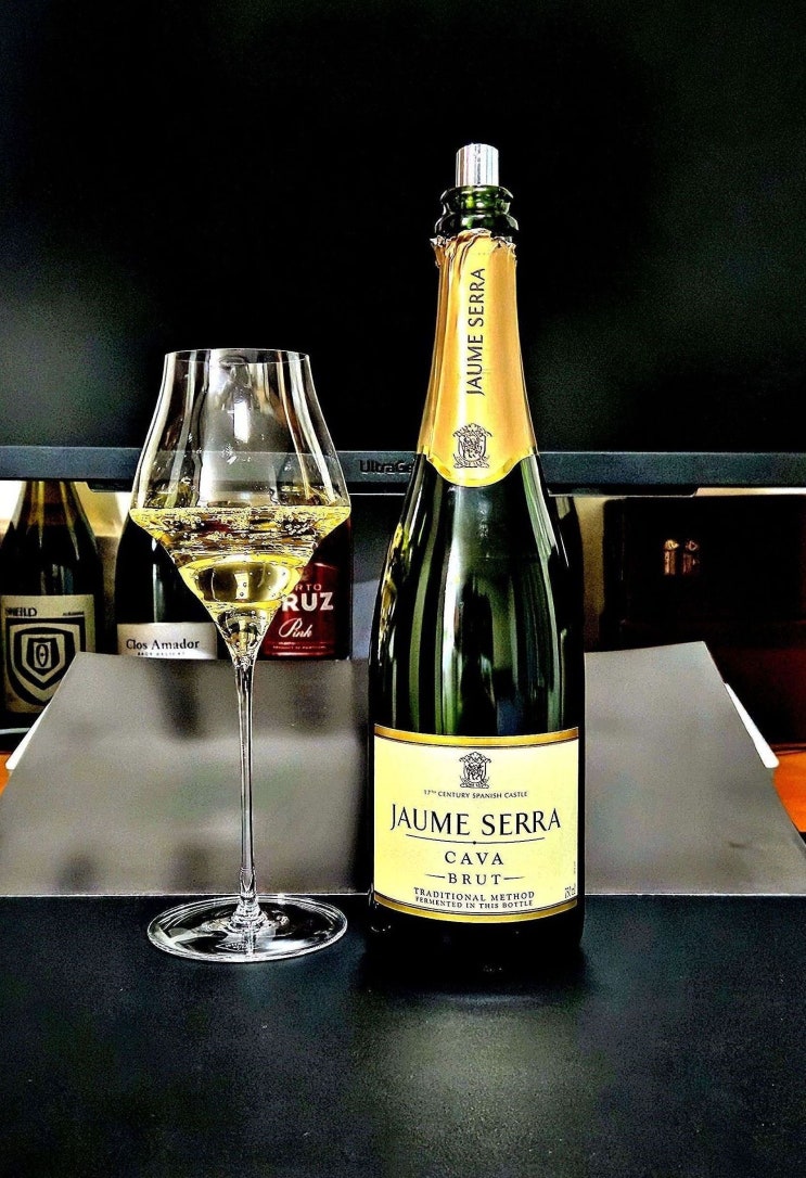  [까바] 호메 세라 브뤼 까바 NV Jaume Serra Brut Cava NV 스페인 스파클링 와인 리뷰