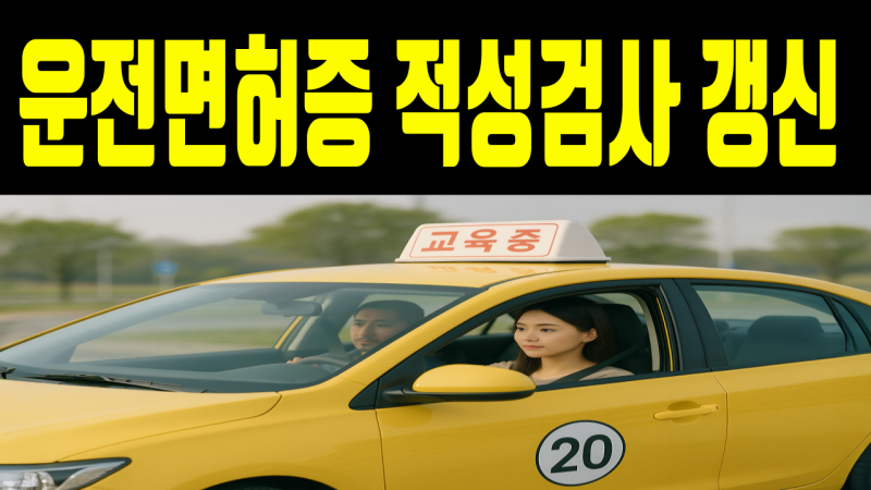 운전면허증 적성검사 갱신 신체검사, 실제 필요한 항목만 따로 보니