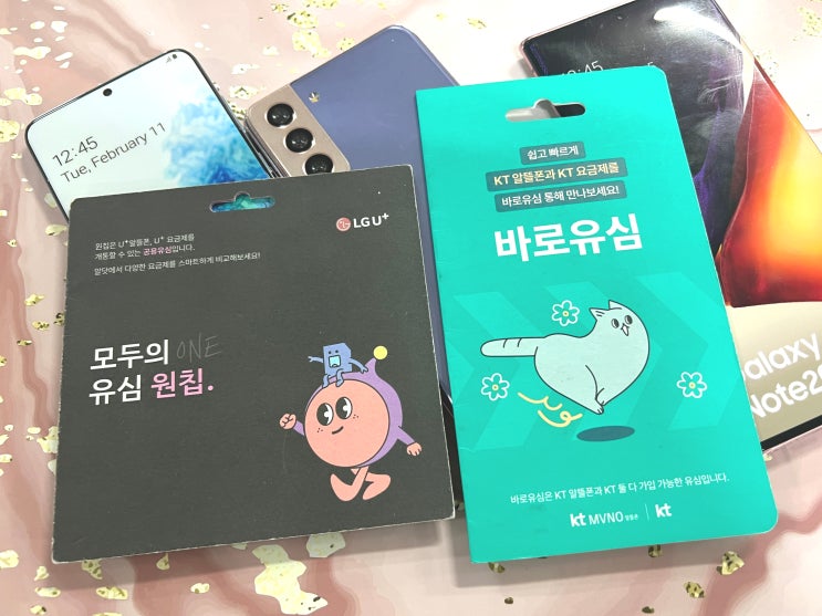  알뜰폰 투폰 요금제 확인 및 개통 절차