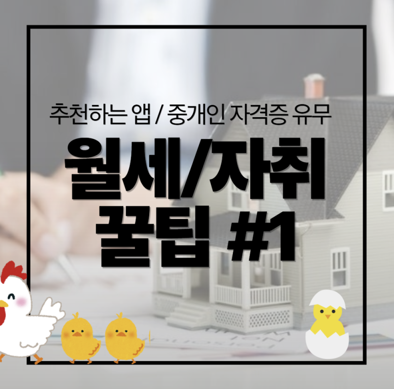 월세 자취방 구하기 꿀팁#1 방구할 때 주의사항 및 피터팬 어플후기