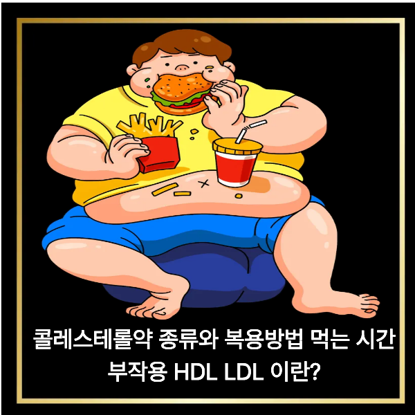  콜레스테롤약 종류와 복용방법 먹는 시간 부작용 HDL LDL 이란?