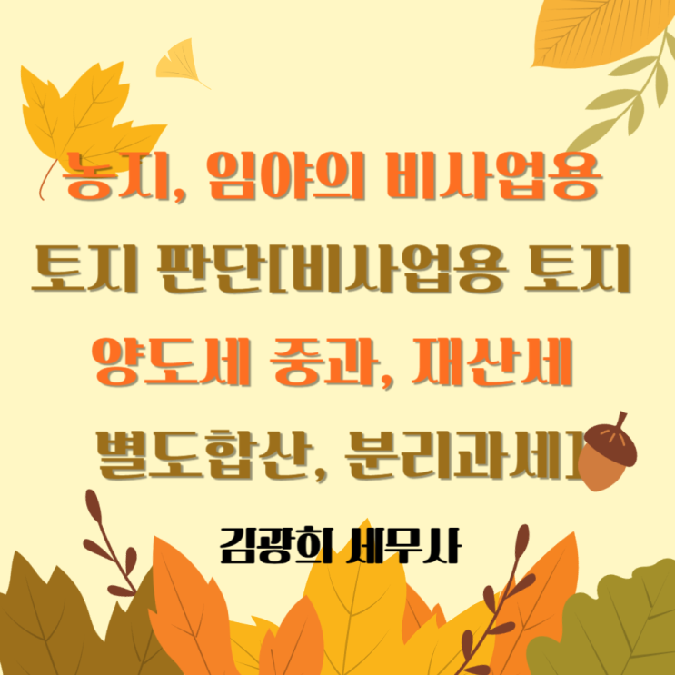  [부산 양도세 세무사]농지, 임야의 비사업용 토지 판단[비사업용 토지 양도세 중과, 재산세 별도합산, 분리과세]