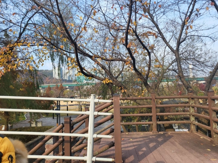 사진 1