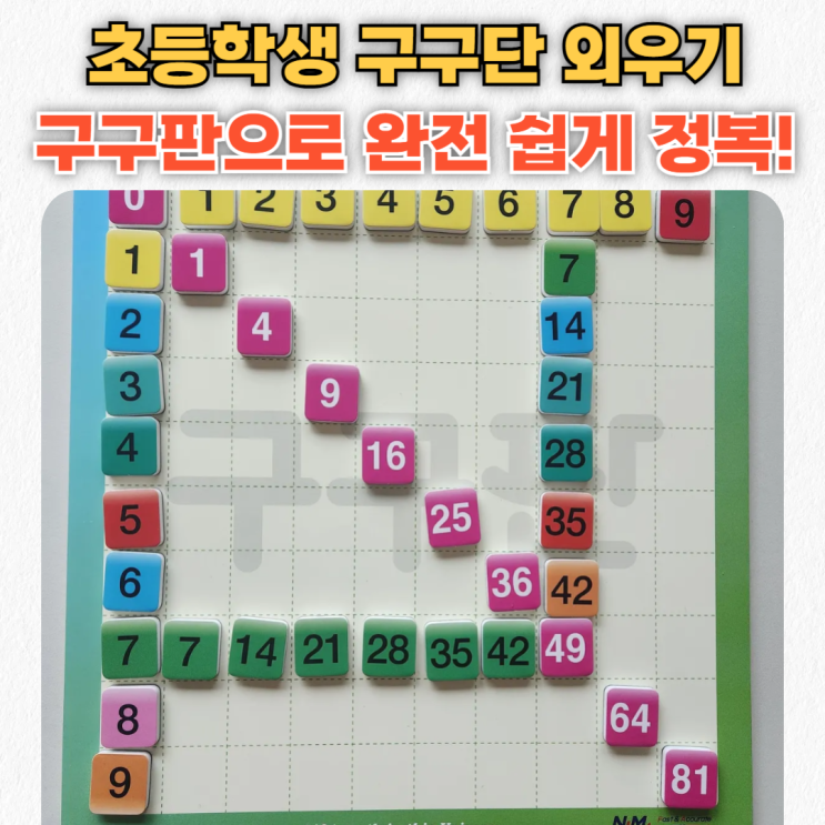  초등 수학교구 뉴메룩스 <구구판>으로 쉽게 구구단, 나눗셈, 이차방정식까지?!