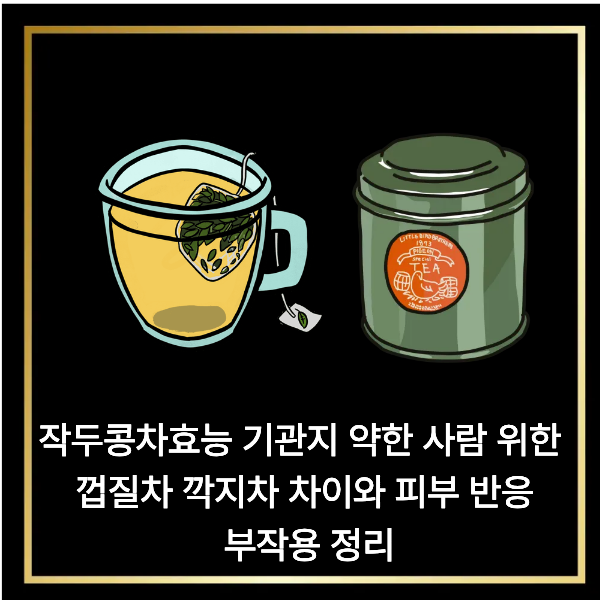  작두콩차효능 기관지 약한 사람 위한 껍질차 깍지차 차이와 피부 반응 부작용 정리