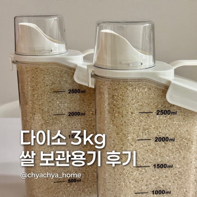 다이소 추천템 쌀통 곡물보관통 2.6L 실사용후기