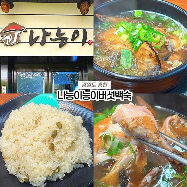  강원도 홍천 맛집 추천, 내돈내산 삼계탕 찐맛집 나능이능이버섯백숙