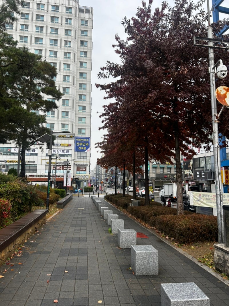 강서구 산후조리원 상담 후기 - 발산 마곡 라엘르
