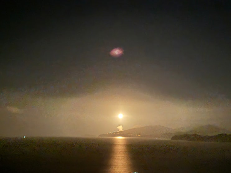  [20251127] 누리호 4차 발사 관람 후기 (고흥 우주발사 전망대)