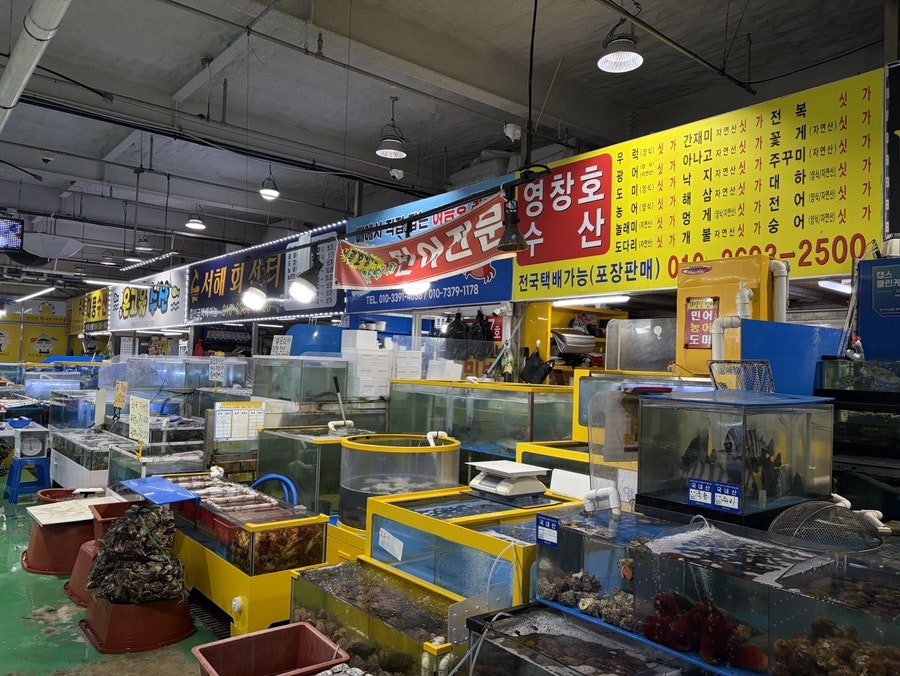 영창호수산 사진 5