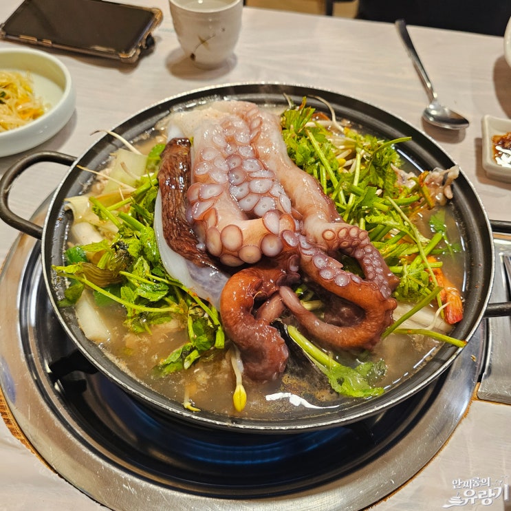  삼척 일품해물탕 동해 활 피문어 넣은 문어 해물탕
