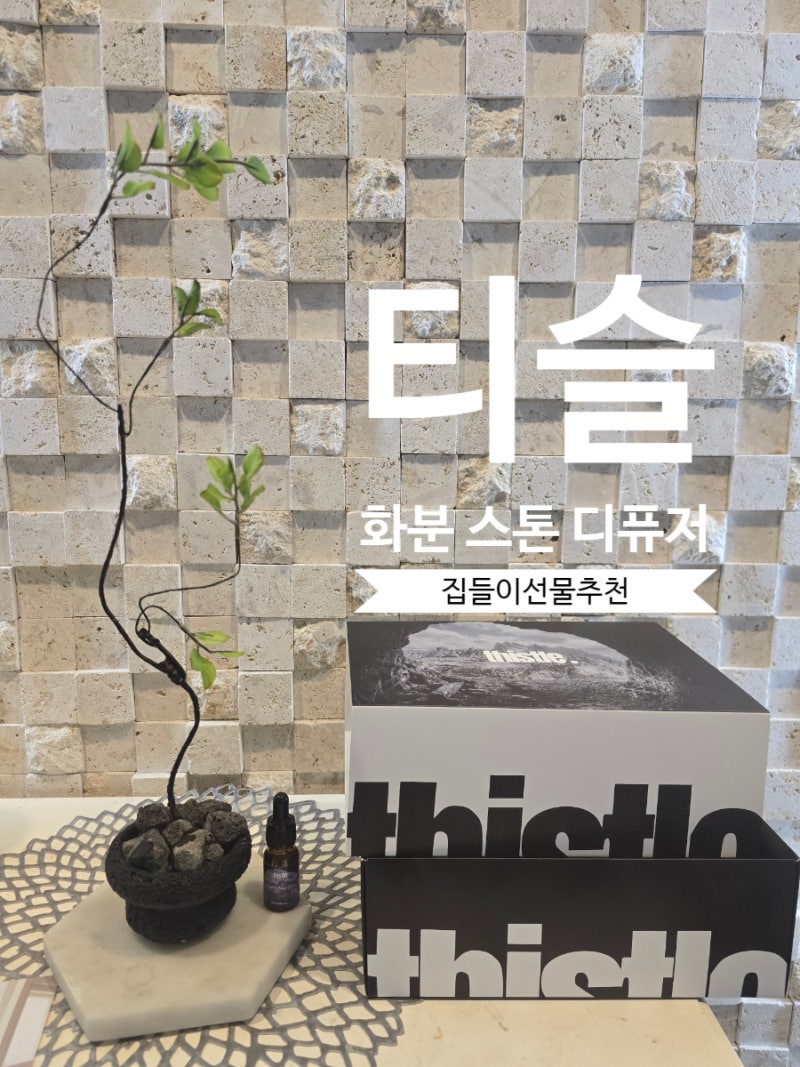 티슬 화분 스톤 디퓨저 화산석 아로마 오일 집들이선물 추천