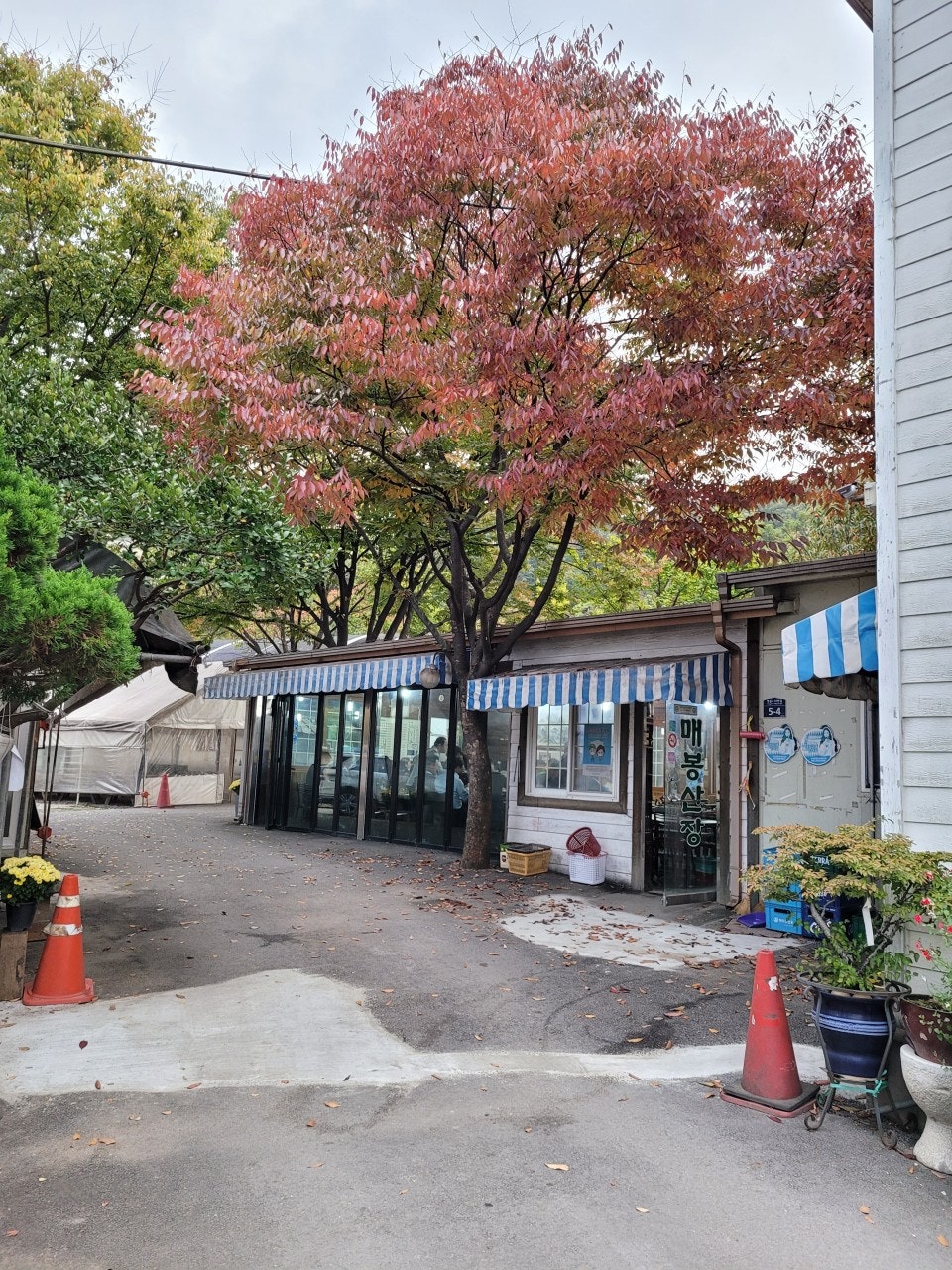 매봉산장 사진 1