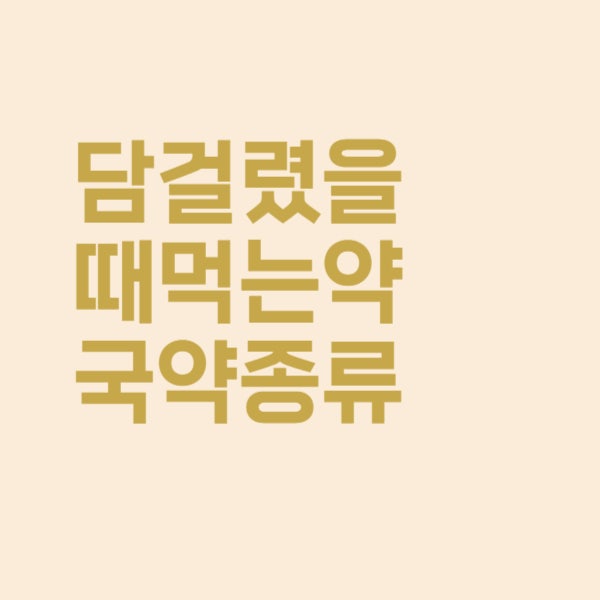  담 걸렸을 때 먹는 약국 약 정리했어요