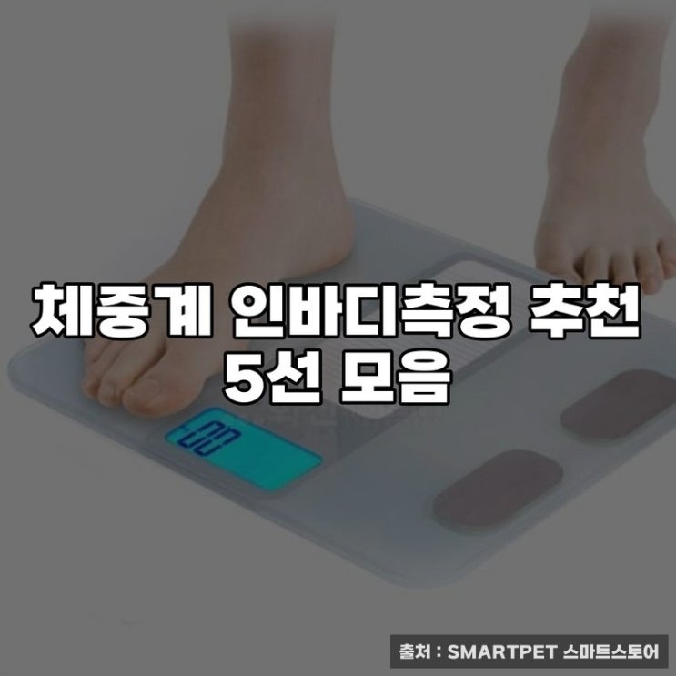  체중계 인바디측정 추천 5선 모음