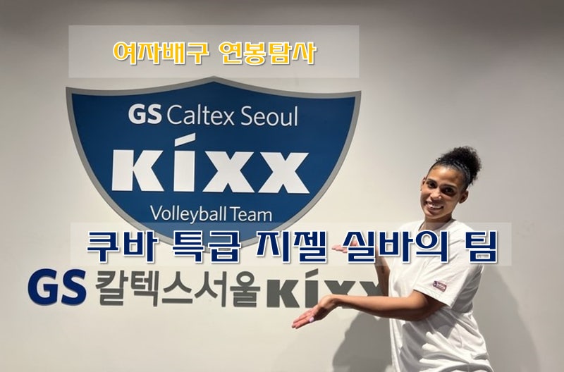 [여자배구] 배구선수 연봉 탐사 연봉 TOP7 지젤 실바, 유서연, 김주향,....