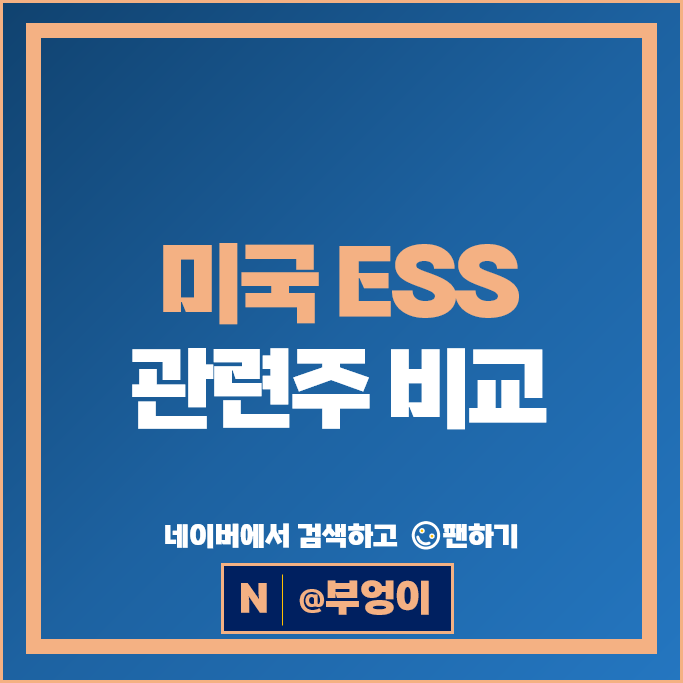 미국 ESS 관련주 GNRC ENS EOSE FLNC 주가 TE NEOV 주식