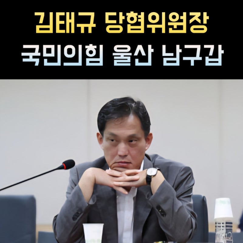 김태규 프로필, 울산 남구갑 당협위원장 나이 고향 학력