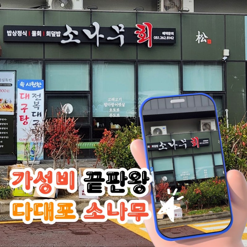 부산 다대포 맛집 | 소나무 횟집 소나무정식 한 상 리뷰