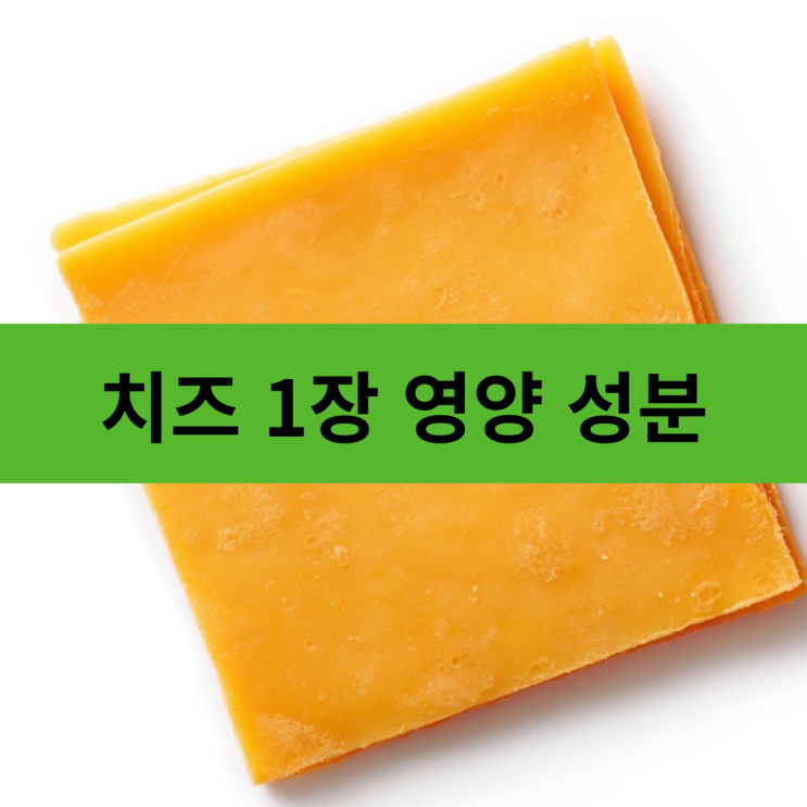  치즈 1장(20g) 영양 성분 및 칼로리 | 치즈 하루 권장 섭취량